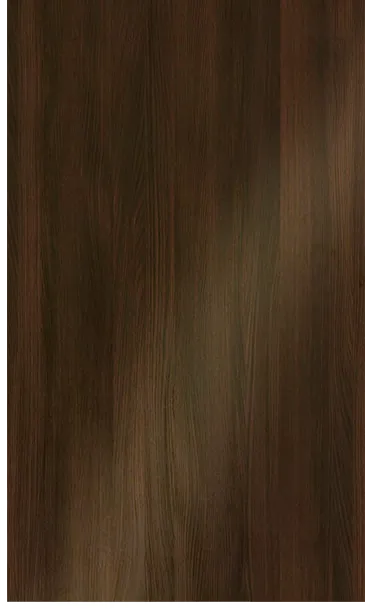 door sample in Olmo Gloss by Milania